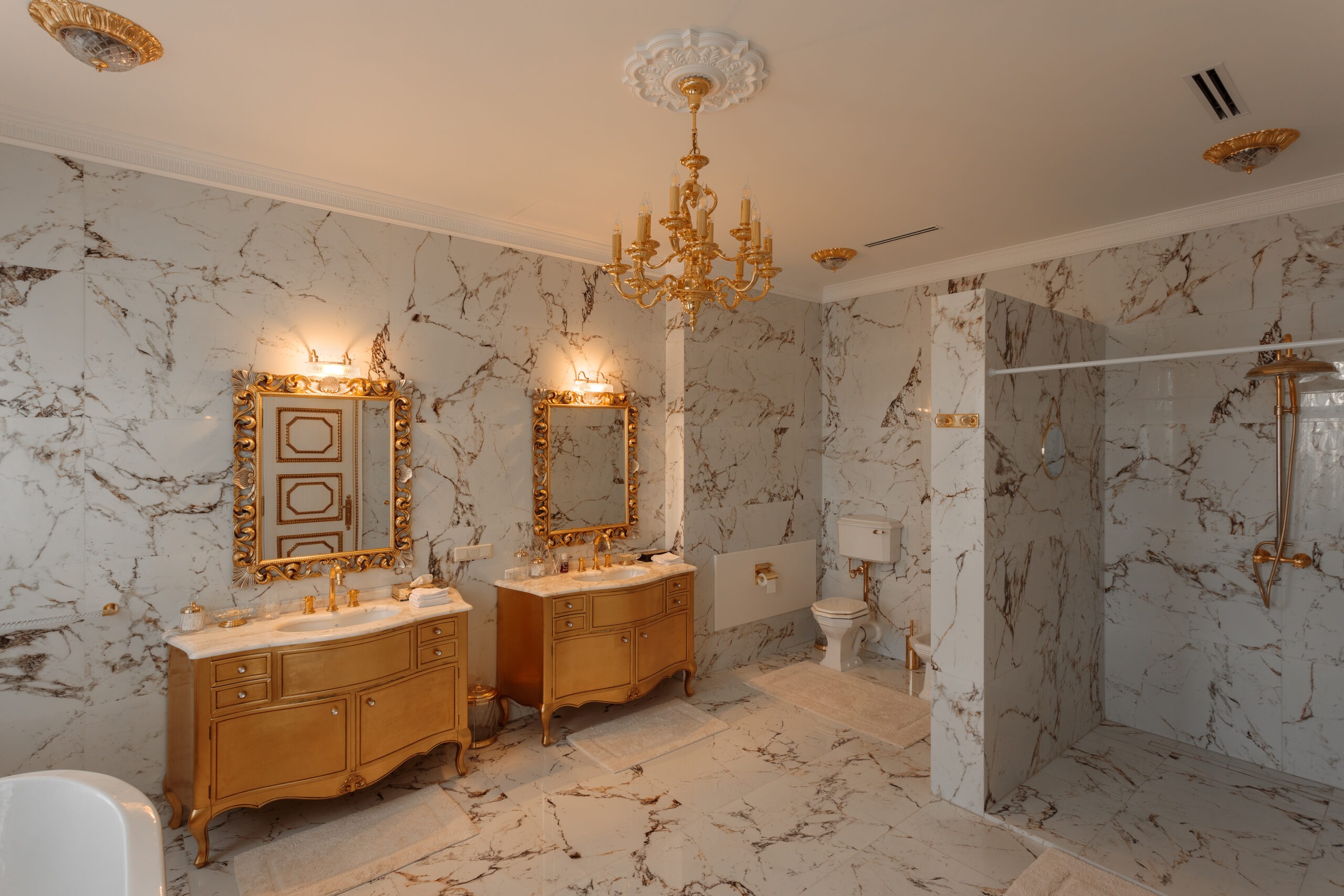 Residential House Classic Style bathroom